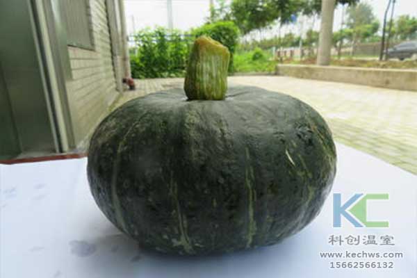 無土栽培，無土栽培技術，無土栽培設備