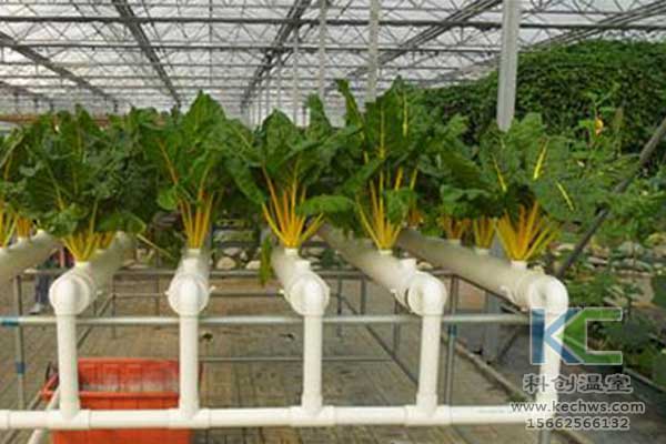 無土栽培，無土栽培技術，無土栽培設備