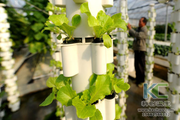 無土栽培,無土栽培技術(shù),無土栽培設(shè)備