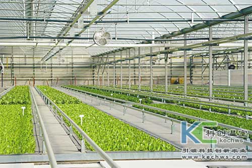 無土栽培，無土栽培技術，無土栽培設備