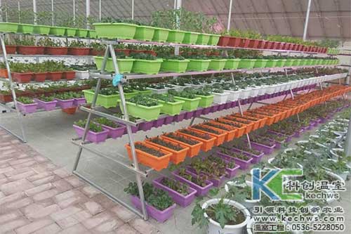 無土栽培,無土栽培技術,無土栽培設備