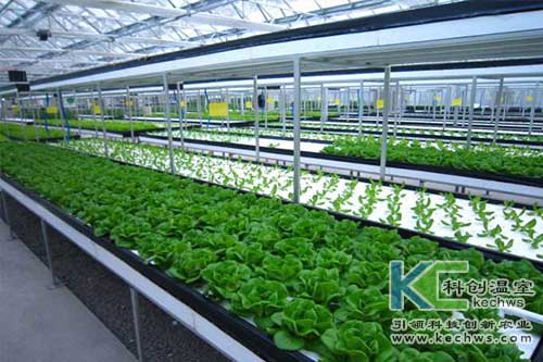 無土栽培，水培，營養液