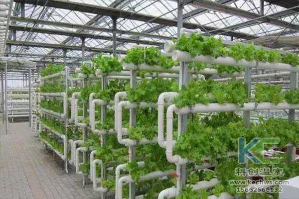 無土栽培，無土栽培技術，無土栽培設備