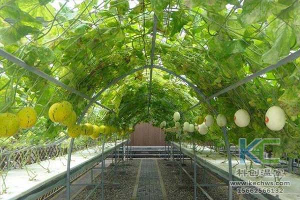 無土栽培，無土栽培技術(shù)，無土栽培設(shè)備