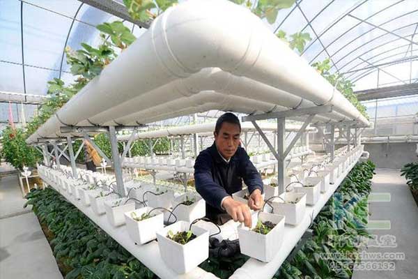 無土栽培，無土栽培技術(shù)，無土栽培設(shè)備
