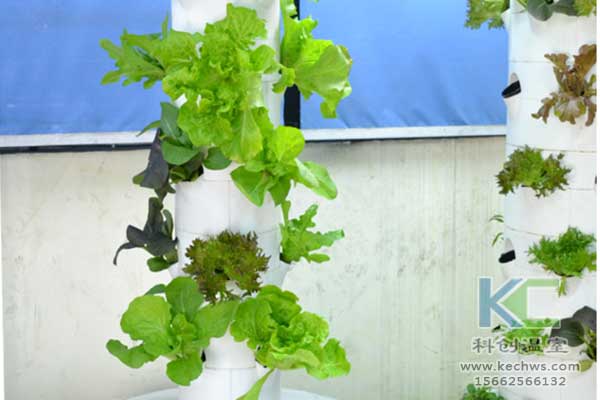 無土栽培，無土栽培技術，無土栽培設備