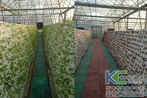 無土栽培，無土栽培技術，無土栽培設備
