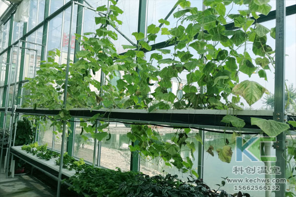智能溫室無土栽培，無土栽培技術，溫室大棚，無土栽培