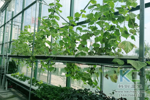 無土栽培,無土栽培技術,無土栽培設備