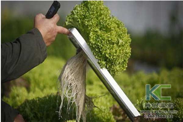 無土栽培，無土栽培技術，無土栽培設備