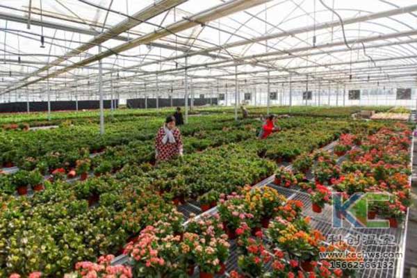 無土栽培，無土栽培技術，無土栽培設備