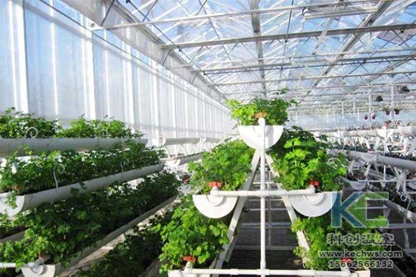 無土栽培，無土栽培技術，無土栽培設備