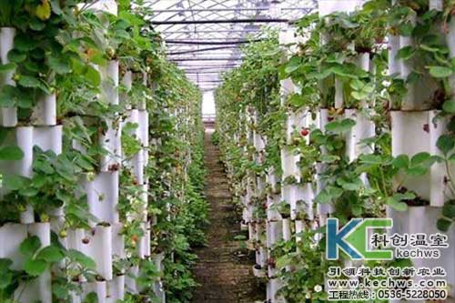 無土栽培，無土栽培技術，無土栽培設備