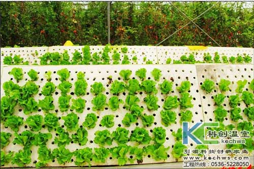 無(wú)土栽培，無(wú)土栽培技術(shù)，無(wú)土栽培設(shè)備