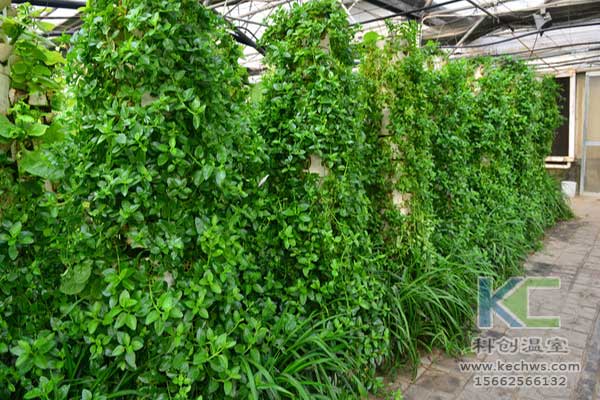 無土栽培，無土栽培技術，無土栽培設備