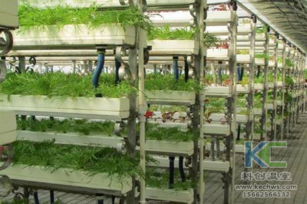 無土栽培，無土栽培技術，無土栽培設備