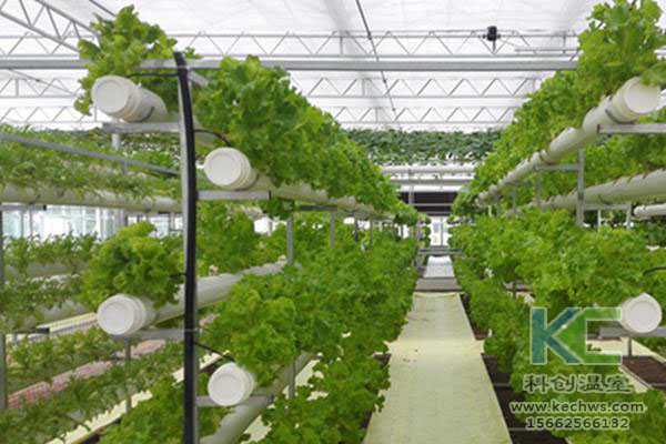 無土栽培，無土栽培技術(shù)，無土栽培設(shè)備