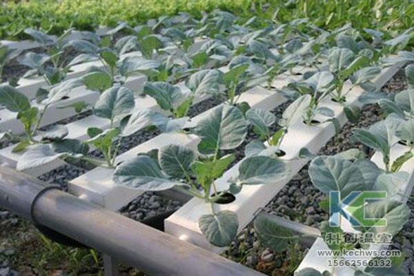 無土栽培，無土栽培技術(shù)，無土栽培設(shè)備