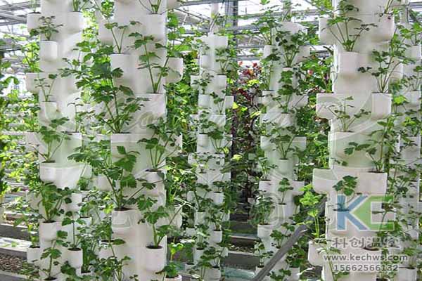 無土栽培技術，無土栽培設備，無土栽培，溫室大棚