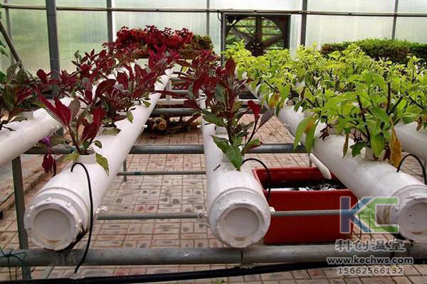 無土栽培，無土栽培技術，無土栽培設備