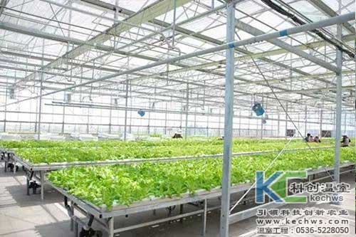 無土栽培，無土栽培技術(shù)，無土栽培設(shè)備