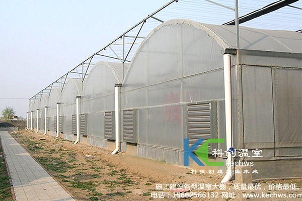 無(wú)土栽培，無(wú)土栽培技術(shù)，無(wú)土栽培設(shè)備