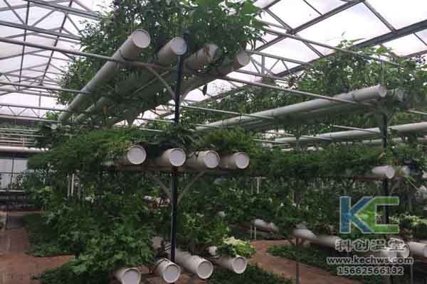 無土栽培技術，無土栽培設備，無土栽培，溫室大棚