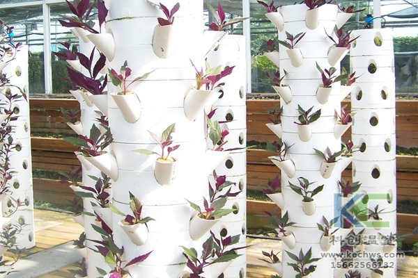 無土栽培,無土栽培技術,無土栽培設備