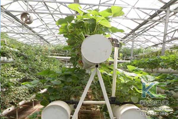 無土栽培，無土栽培技術，無土栽培設備