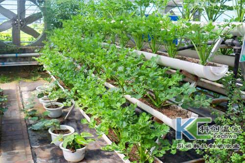 無土栽培，無土栽培技術，無土栽培設備