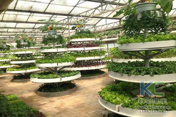 無土栽培技術，無土栽培設備，無土栽培，溫室大棚
