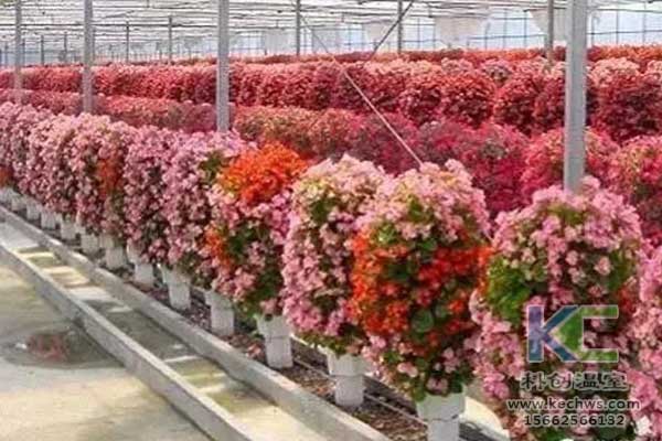 無土栽培，無土栽培技術，無土栽培設備