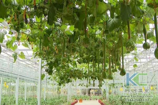 無土栽培，無土栽培技術，無土栽培設備