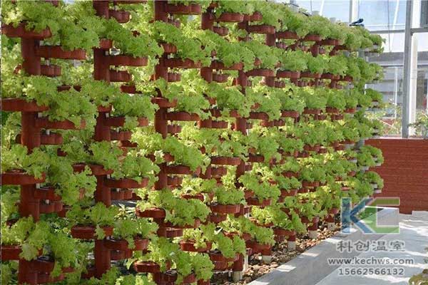 無土栽培，無土栽培技術，無土栽培設備