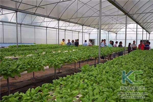 無土栽培，無土栽培技術，無土栽培設備