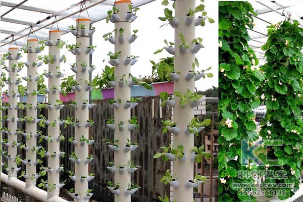 無土栽培，無土栽培技術，無土栽培設備