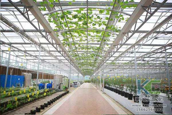無(wú)土栽培，無(wú)土栽培技術(shù)，無(wú)土栽培設(shè)備
