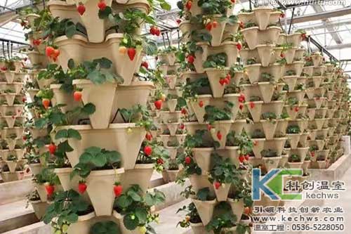 無土栽培，無土栽培技術，無土栽培設備