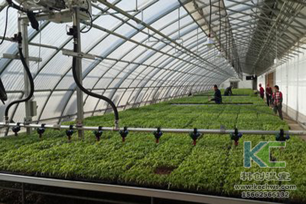 無土栽培，無土栽培技術(shù)，無土栽培設(shè)備
