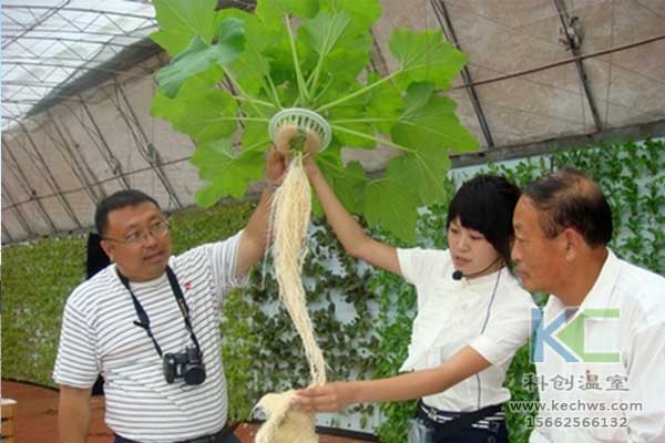 無土栽培,無土栽培技術,無土栽培設備