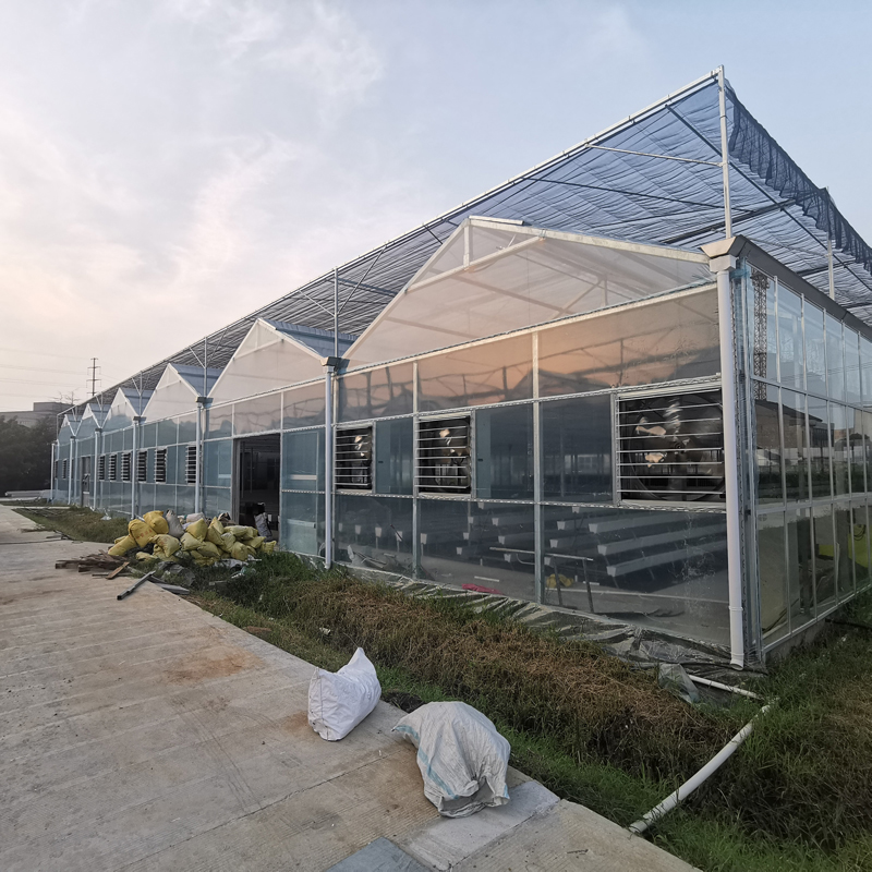 無土栽培,無土栽培技術(shù),無土栽培設(shè)備