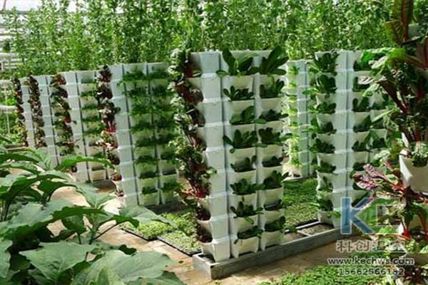 無土栽培，無土栽培技術，無土栽培設備
