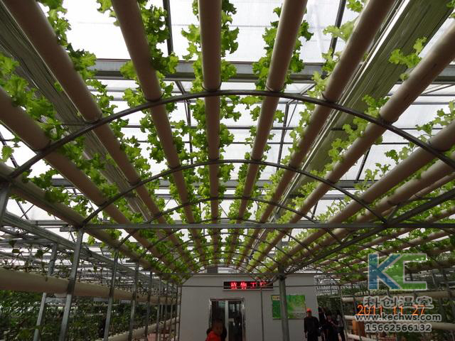 無土栽培，無土栽培技術，無土栽培設備