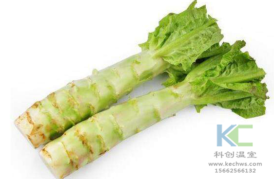 無(wú)土栽培，無(wú)土栽培技術(shù)，無(wú)土栽培設(shè)備