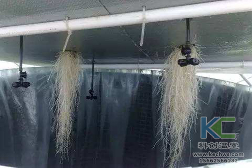 無土栽培，無土栽培技術(shù)，無土栽培設備