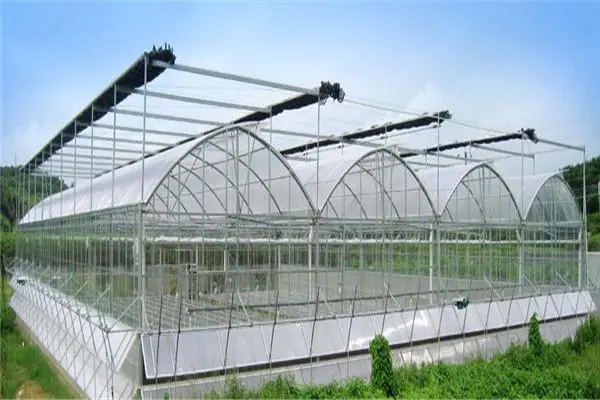 無土栽培,無土栽培技術(shù),無土栽培設(shè)備