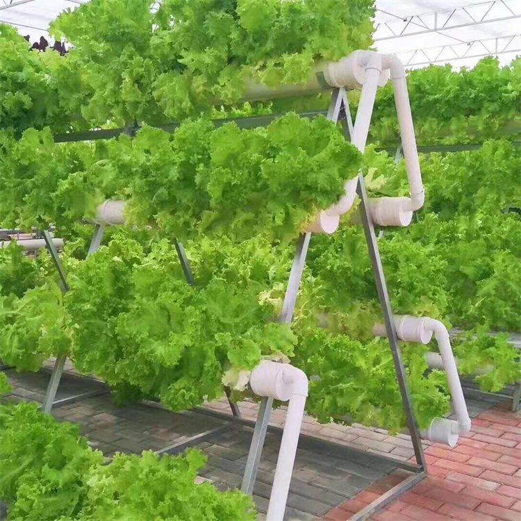 無土栽培，無土栽培技術，無土栽培設備