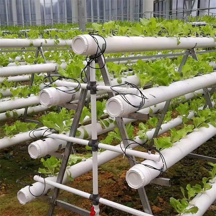 無土栽培，無土栽培技術，無土栽培設備