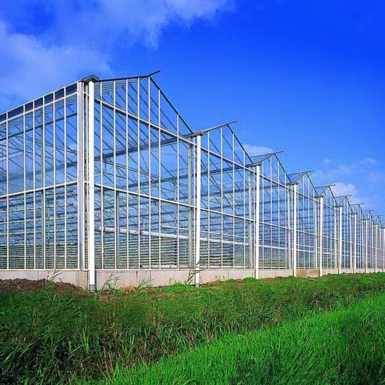 無土栽培，無土栽培技術，無土栽培設備