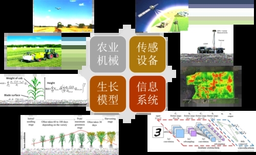 無土栽培,無土栽培技術,無土栽培設備